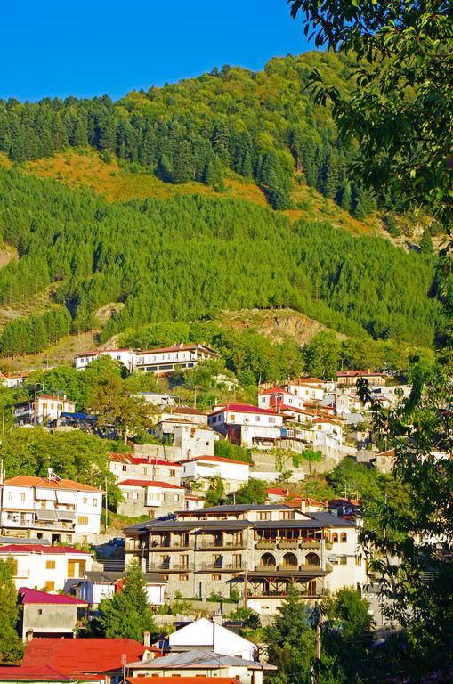 La Munte Hotel Metsovo Eksteriør billede